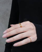 melt curve ring(stainless steel)
