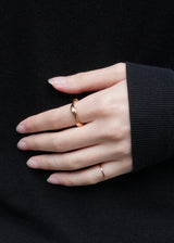 melt curve ring(stainless steel)