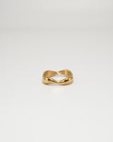 melt curve ring(stainless steel)