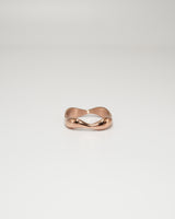 melt curve ring(stainless steel)