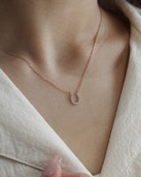 horse shoe necklace