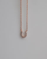 horse shoe necklace
