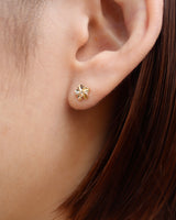 little flower pierce