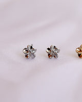 little flower pierce