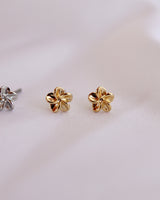 little flower pierce