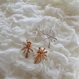 matte spark pierce & earring