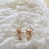 matte spark pierce & earring