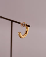 petit zir curl pierce