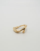 waves rise ring