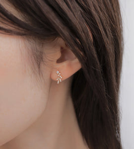 curve leaf pierce & earrings