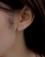 curve leaf pierce & earring