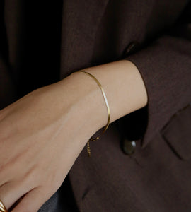 flat snake stainless bracelet