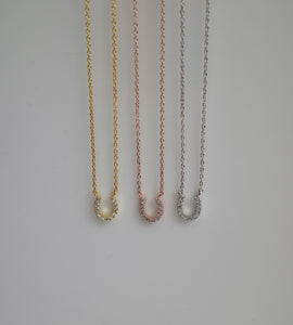 horse shoe necklace