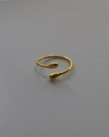 shiny hug ring