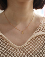 petit star studs necklace