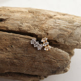zir leaf pierce