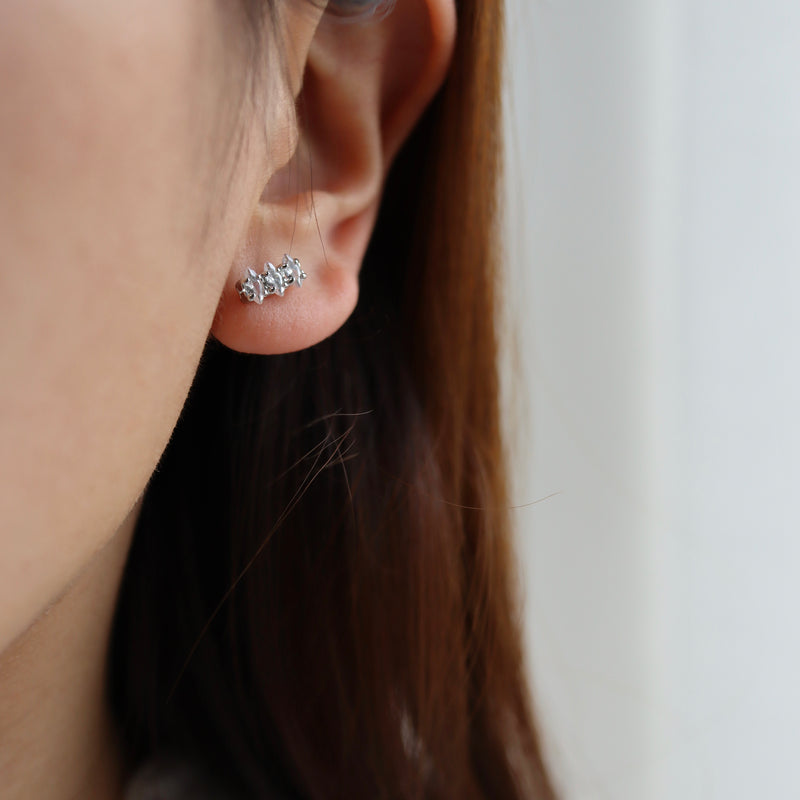 zir leaf pierce